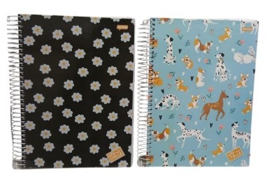 CADERNO C.D. 15X1 UMA STELLA